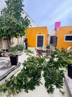 Taking the day off for a needed gardening.  Renovating some ornaments and caring of our keylime trees. #tarpontownlodge #tarpontow #tarponfishing