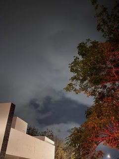 First rain of the year!