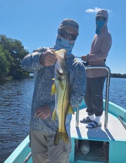 Despite the constant hit of Coldfront storms and harbor closures, some fish has been landed !